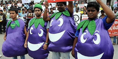 Activists staging a protest against genetically modified (GM) food crops. (File Photo | Nagaraja Gadekal, EPS)
