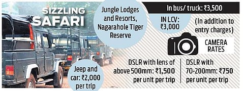 Meme fest as netizens go wild over safari fee hike in Karnataka