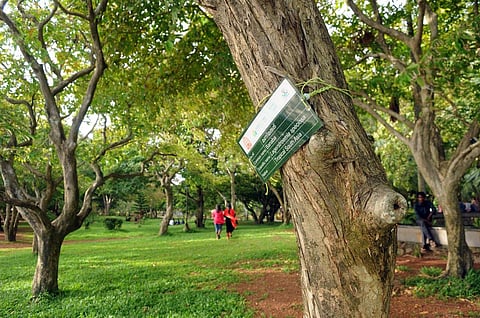 Subash Park, Kochi (File | EPS)