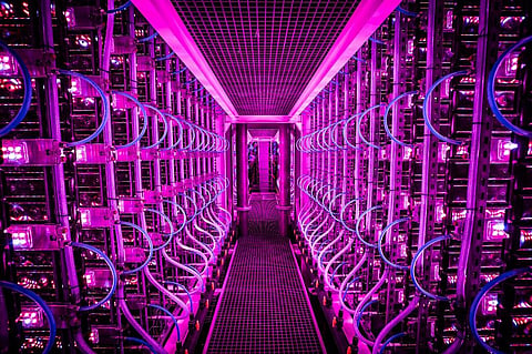 Enclosed state-of-the-art photo-bioreactors produce chlorella and spirulina algae (Photo | AFP)