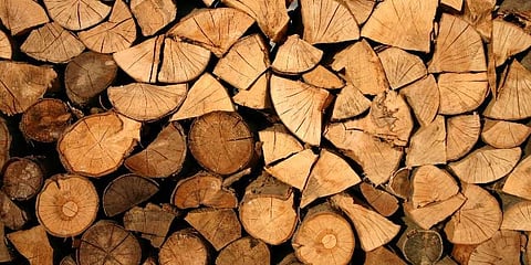 Image used for representational purposes