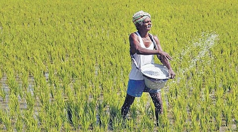 This startup is helping farmers get better yield