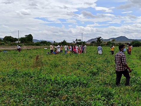 Health workers vaccinate farmers in Sandur taluk recently | Express