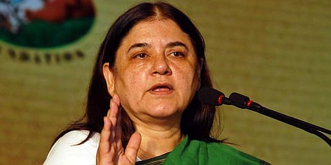 BJP Sultanpur MP and former Union Minster Maneka Gandhi