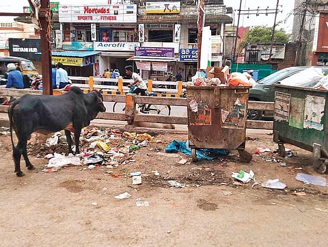 Plastic dumped at a place in Budharaja area under SMC | Express