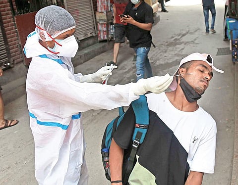 A medical worker collects swab sample for Covid testing on Saturday | Shekhar Yadav