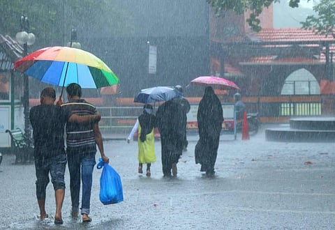 Image used for representational purposes (File Photo | TP Sooraj, EPS)