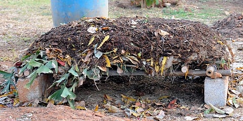 Organic Manure