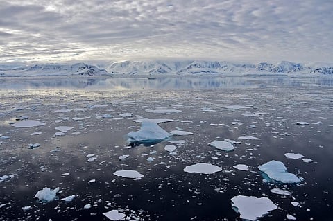 This file photo taken on November 27, 2019 shows a view of the glacier at Chiriguano Bay in South Shetland Islands, Antarctica. (Photo | AFP)