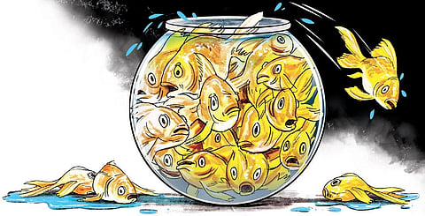 Population control will prove 'disastrous' for Karnataka: Experts