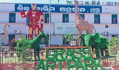 The grass art park at Govt ITI, Berhampur