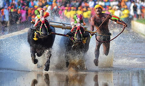 Representational Image. (Photo | Shriram BN, EPS)