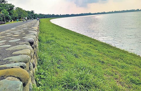 Chandigarh diary