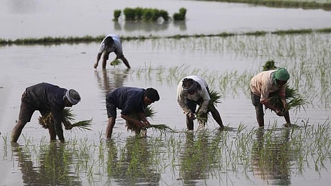 Image of farmers used for representational purpose
