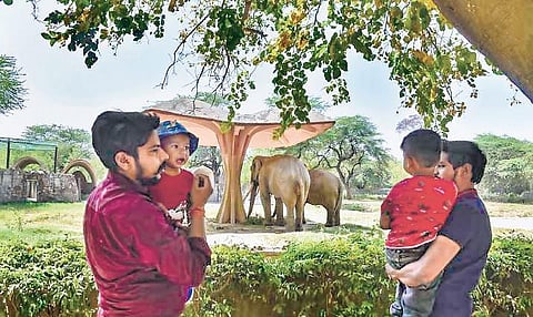 Shock, snake bite, cannibalism behind deaths in National Zoological Park