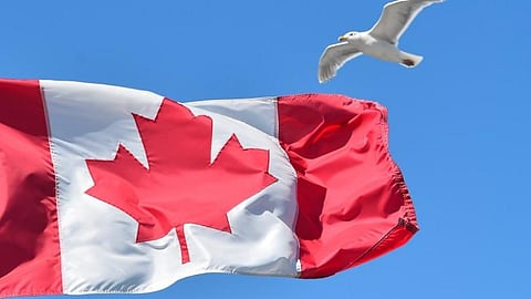 Canada Flag used for representative purposes.