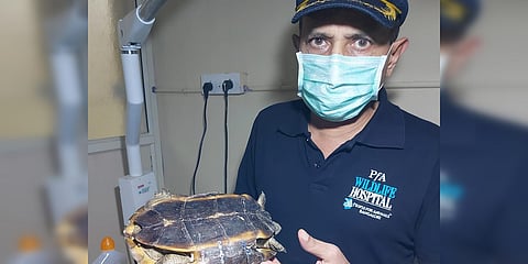 A rescuer from People for Animals with the injured pond terrapin. (Photo| EPS)