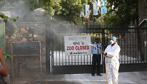 National Zoological Park in New Delhi.(File photo | Shekhar Yadav, EPS)