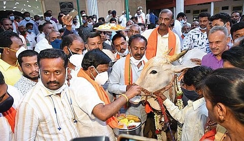 Union Minister A Narayanaswamy performs ‘gau pooja’ in Tumakuru on Tuesday