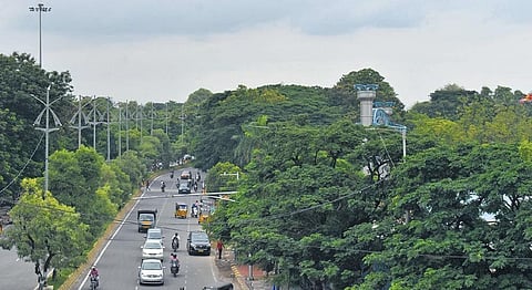 Extensive green cover surrounds a major road in Hyderabad | S Senbagapandiyan