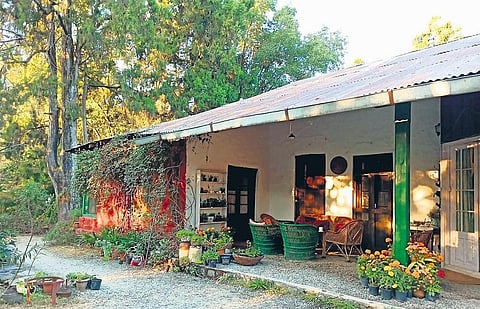 The homestead