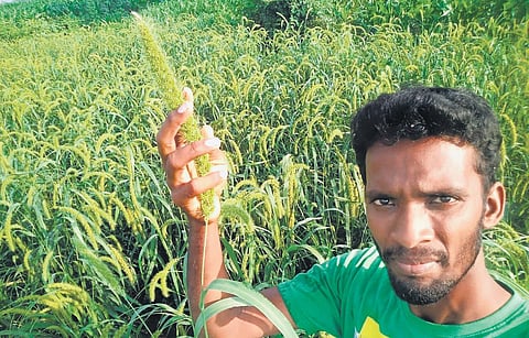 Nallappan at his field in Perambalur | special arrangement