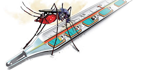 Image used for representational purpose.