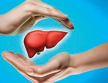 Liver diseases are preventable: Doctor