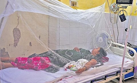 The root cause of the mosquito menace was due to a drainage channel behind the hospital premises.