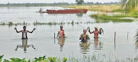 Representational image (File photo| EPS)