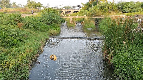 Polluted water from Sunambu Odai and Pitchakaranpallam Odai entered the Cauvery contaminating the river water as well (Photo | EPS)