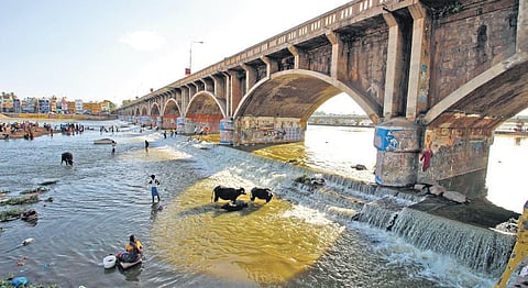 PIC: k k sundar