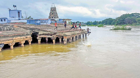 ever-flowing Thamirabarani is considered TN’s only perennial river