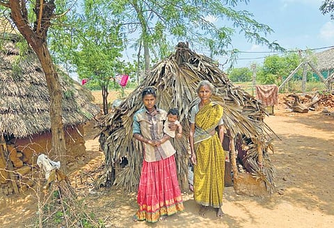 An Irular family at Venkatapuram hamlet in Tiruvallur district. (File photo| EPS)