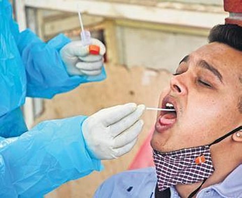 A health staff collects swab sample of a traveller at KBS Majestic Bus Stand in Bengaluru | Ashishkrishna H P