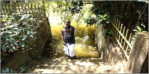 NK Kurian at the Mango Meadows Agriculture Pleasure Land. (Photo| EPS)