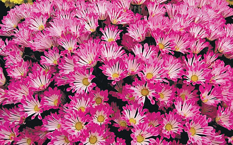 Representational Image
