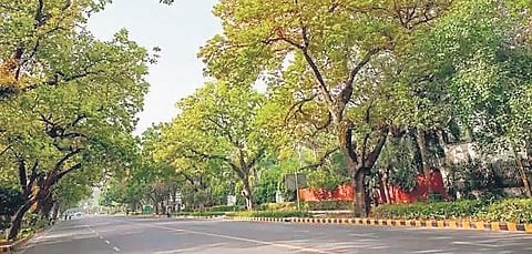 Derawal Nagar in Delhi