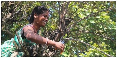 The women made by lac, earns lakh