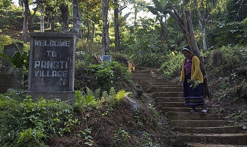 A Lotha Naga tribal woman carries vegetables in a traditional bamboo basket in Pangti village, in the northeastern Indian state of Nagaland. (File Photo | AP)