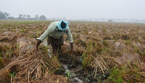 Image used for representational purpose only. (File photo | EPS/P Ravindra Babu)