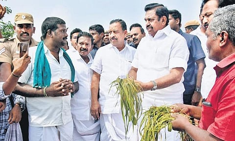 Edappadi K Palaniswami inspecting crop damage at Nallur near Sirkazhi | Express