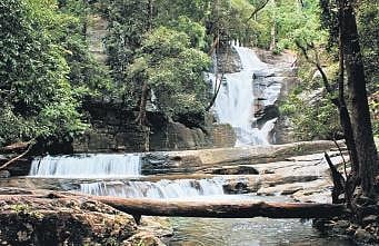 From treks to waterfall dips
