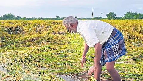 Image used for representational purpose only | Express