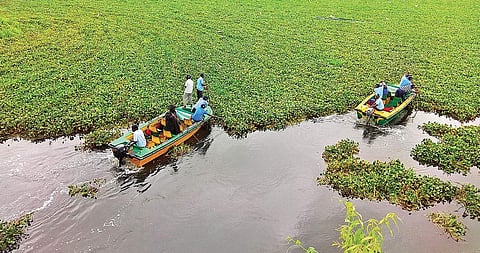 Image used for representational purpose only. (Photo | EPS)
