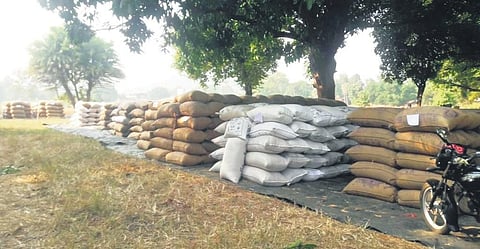 Paddy lying unsold at a market yard in Kuchinda sub-division | Express