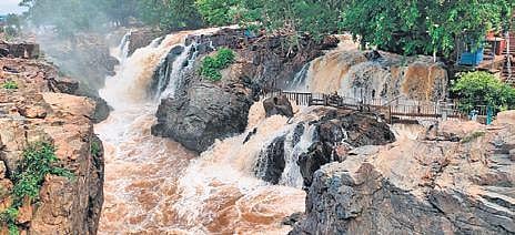 Shift gauging station to Hogenakkal: Farmers