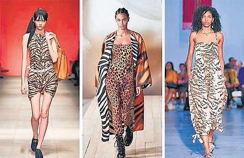 Models in Salvatore Ferragamo, Roberto Cavalli, Kenneth Ize.