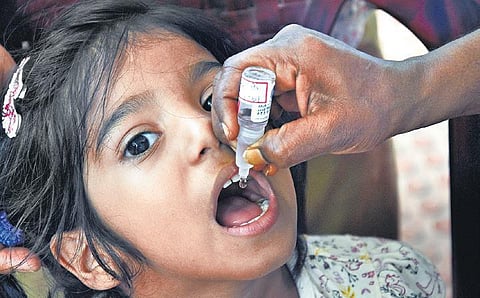 A girl receiving polio vaccination (Photo | Ashwin Prasath, EPS)