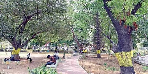 Image for representational purpose only. (File Photo | EPS)